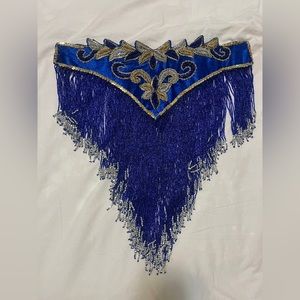 Royal blue and gold belly dance costume